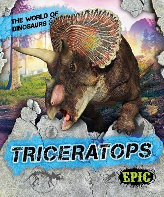Triceratops by Rebecca Sabelko