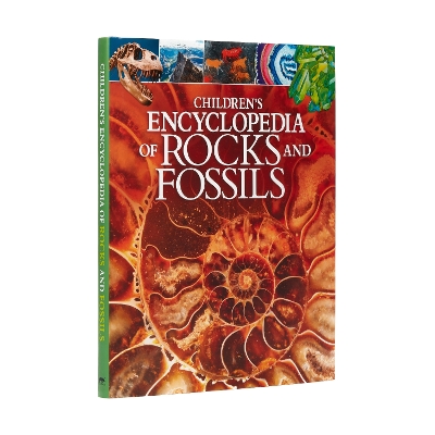 Children's Encyclopedia of Rocks and Fossils by Claudia Martin
