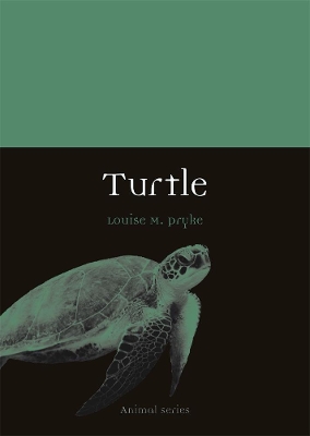 Turtle book