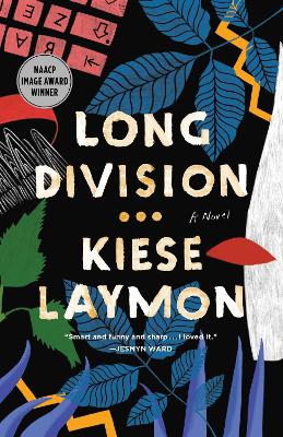 Long Division: A Novel book