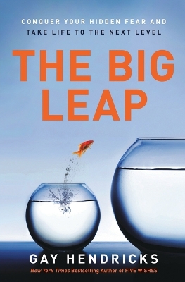 Big Leap book