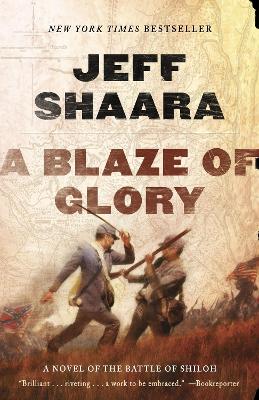 Blaze of Glory book