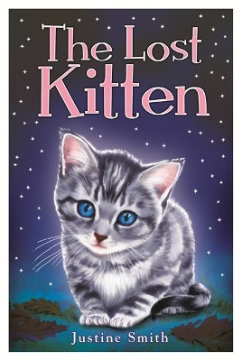 Lost Kitten book