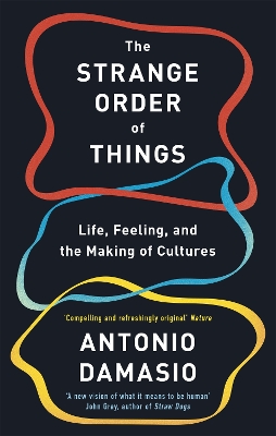 The The Strange Order Of Things: Life, Feeling and the Making of Cultures by Antonio Damasio