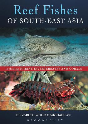 Reef Fishes of South-East Asia by Elizabeth Wood