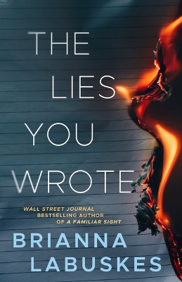 The Lies You Wrote book