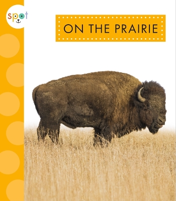 On the Prairie book