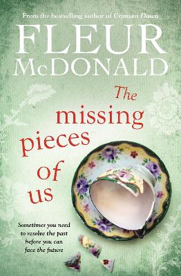 Missing Pieces of Us book