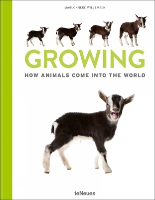 Growing: How animals come into our world book