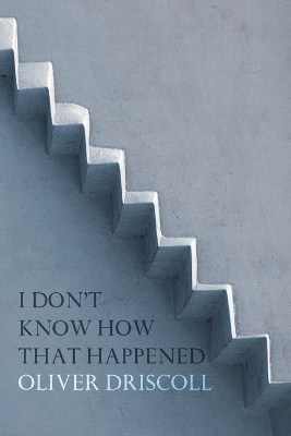 I Don't Know How That Happened book