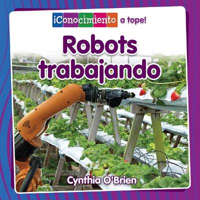 Robots Trabajando (Robots at Work) book