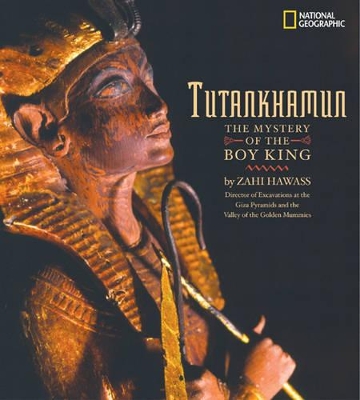 Tut: Mystery of the Boy King book