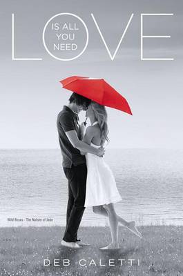 Love Is All You Need book