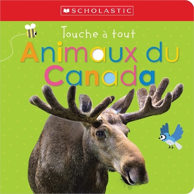 Apprendre Avec Scholastic: Touche À Tout: Animaux Du Canada book