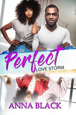 The Perfect Love Storm book