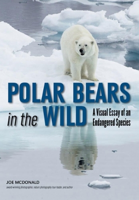 Polar Bears In The Wild book
