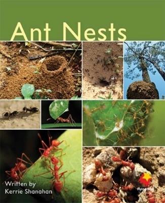 Ant Nests book