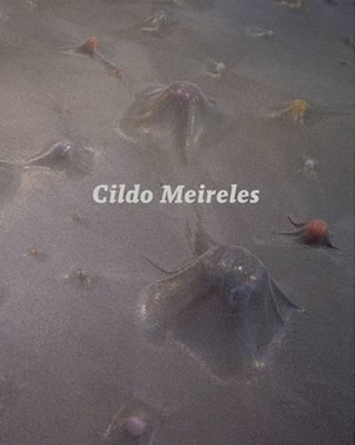 Cildo Meireles book