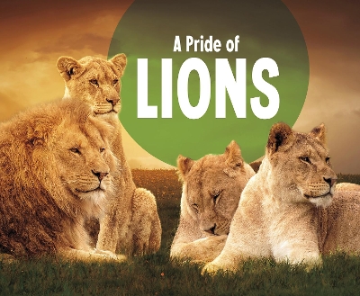 A Pride of Lions book