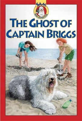 Ghost of Captain Briggs book