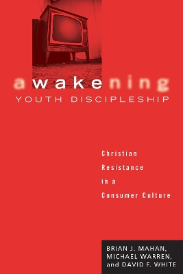 Awakening Youth Discipleship: Christian Resistance in a Consumer Culture book