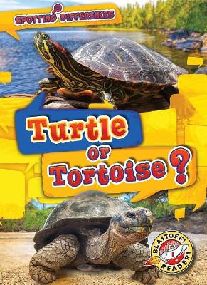 Turtle or Tortoise book