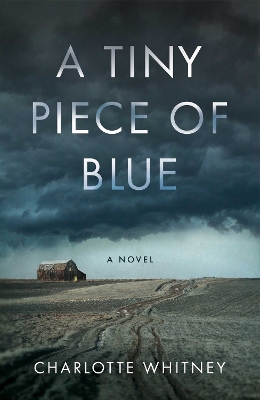 A Tiny Piece of Blue: A Novel book