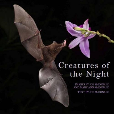 Creatures of the Night book