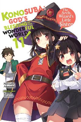 Konosuba: God's Blessing on This Wonderful World!, Vol. 11 (light novel) book