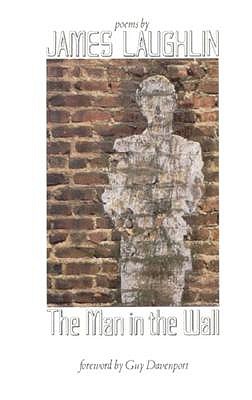 Man in the Wall book