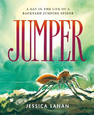 Jumper: A Day in the Life of a Backyard Jumping Spider book