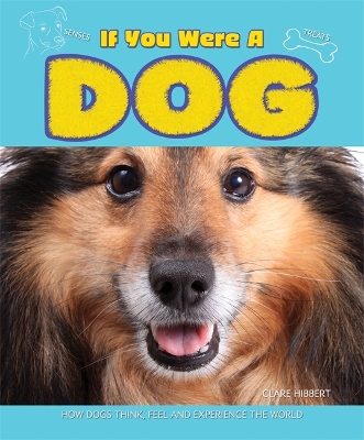If You Were a Dog book