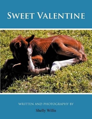 Sweet Valentine book