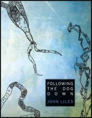 Following The Dog Down book