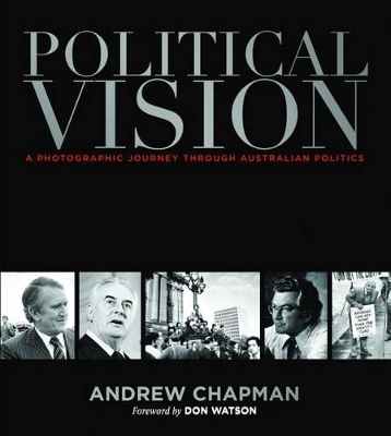 Political Vision book