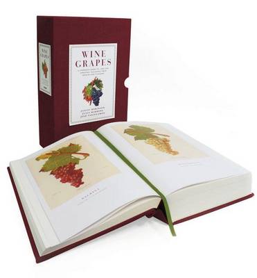 Wine Grapes by Jancis Robinson