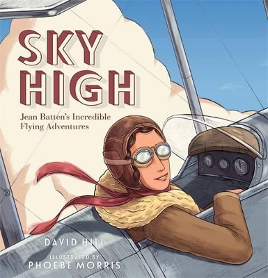Sky High book