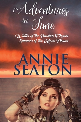 Adventures in TIme book