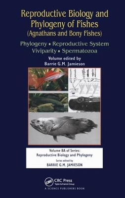 Reproductive Biology and Phylogeny of Fishes (Agnathans and Bony Fishes): Phylogeny, Reproductive System, Viviparity, Spermatozoa by Barrie G M Jamieson