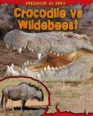 Crocodile vs Wildebeest by Mary Meinking