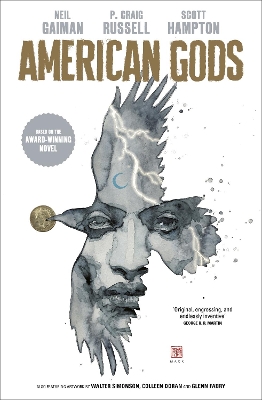 American Gods: Shadows book
