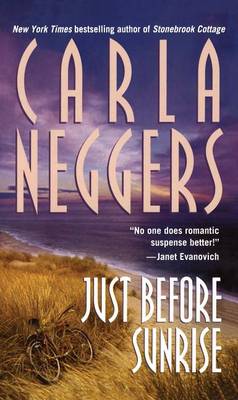 Just Before Sunrise book