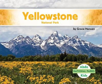 Yellowstone National Park book