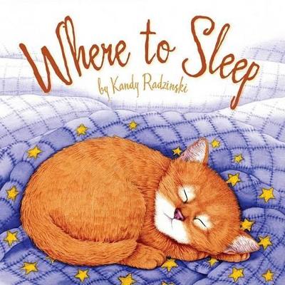 Where to Sleep by Kandy Radzinski