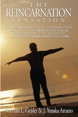 Reincarnation Sensation book