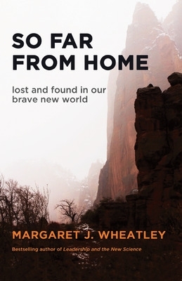 So Far from Home: Lost and Found in Our Brave New World book