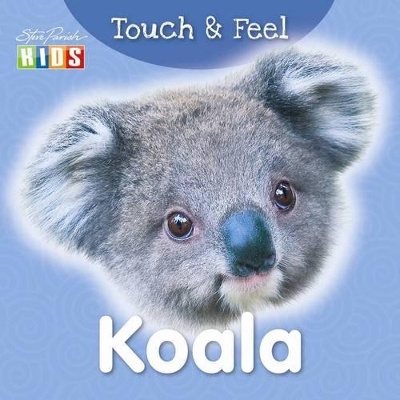 Koala: Touch and Feel by Steve Parish