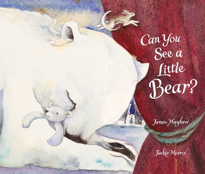Can You See a Little Bear? book
