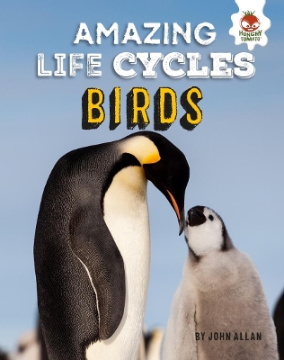 Birds - Amazing Life Cycles book