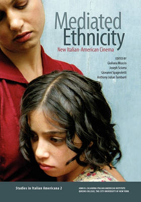 Mediated Ethnicity book